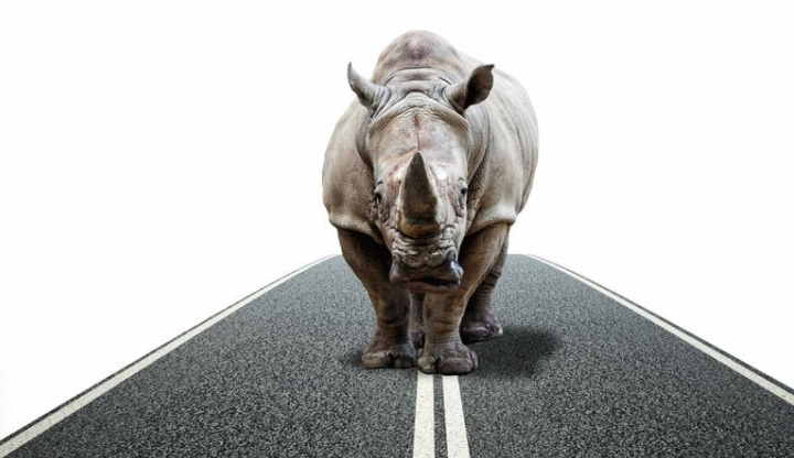 What's Your Gray Rhino? cover